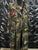 Camo Patch Out Trench Coat